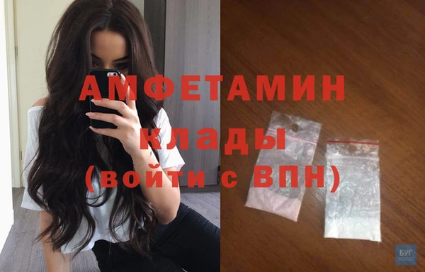 стаф Бабаево