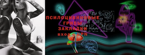 шишки Аша