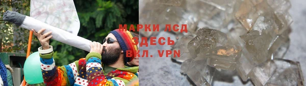 прущие грибы Переславль-Залесский