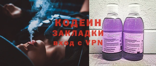 шишки Аша