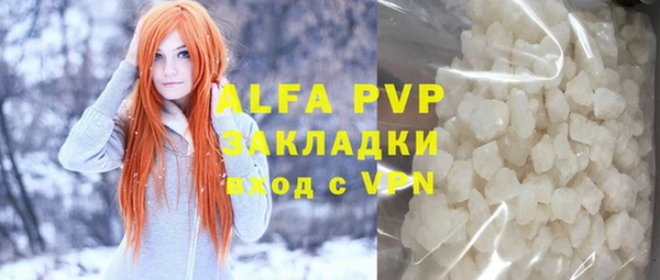 шишки Аша