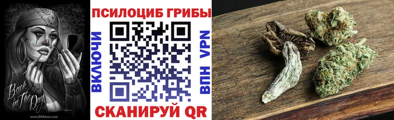 Купить закладки  Кропоткин  Галлюциногенные грибы прущие грибы 